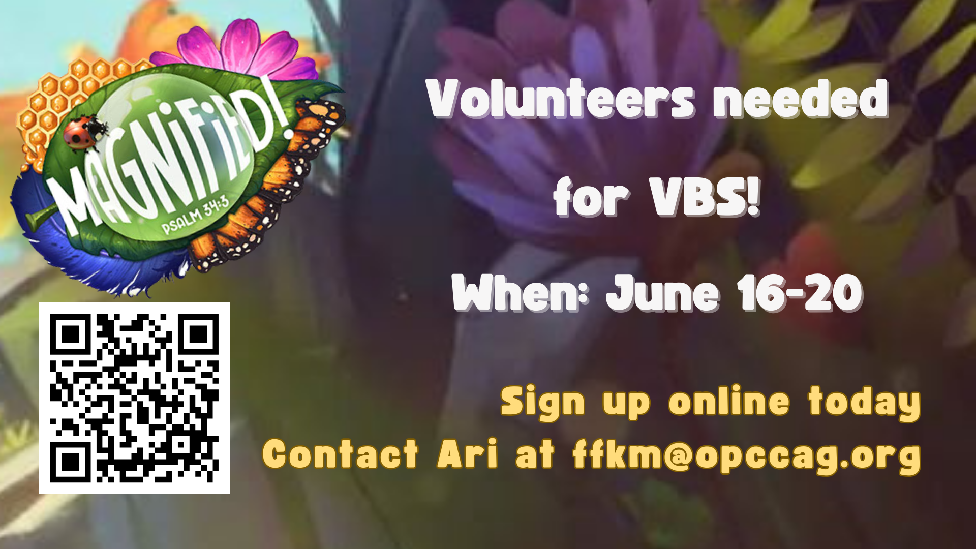 VBS Volunteers 2025.png